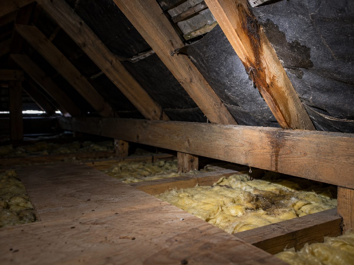 Loft with a dark water stain running down a rafter and the roofing felt, and damp insulation below